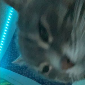 Meet your Posher, Emma